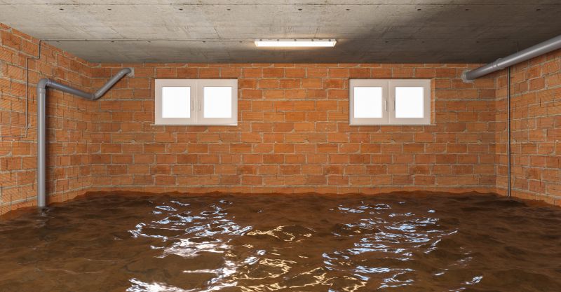 Basement Restoration Service in Scottsdale, AZ