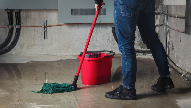 Basement Restoration Service in Santa Rosa, CA