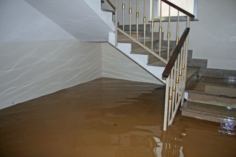Basement Restoration Service in Wilmington, NC