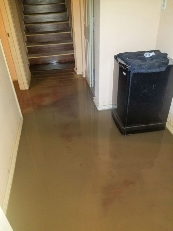 Basement Water Removal in Wilmington, NC