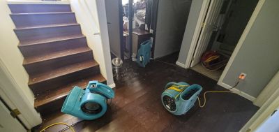 Water Damage Cleaning