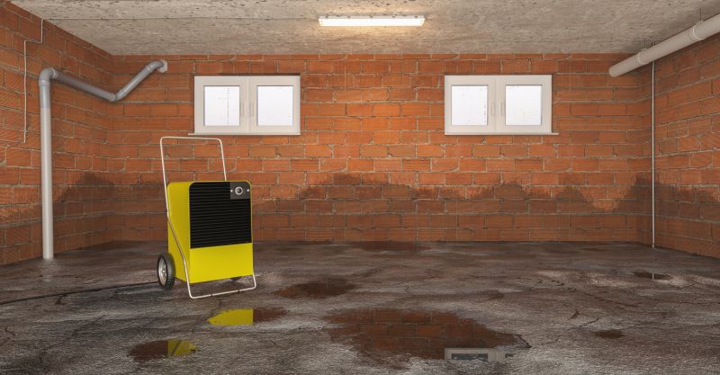 Crawl Space Water Remediation in Santa Rosa, CA