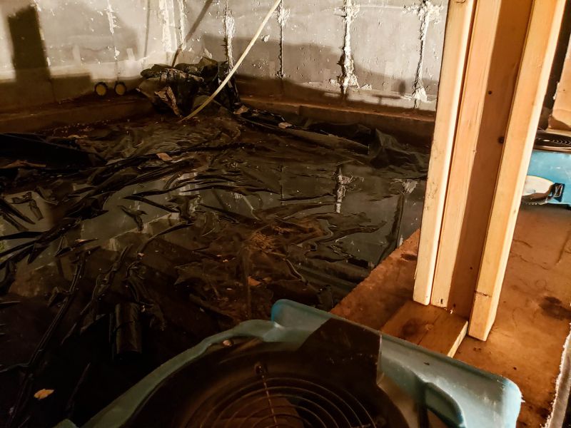 Emergency Water Removal in Chandler, AZ