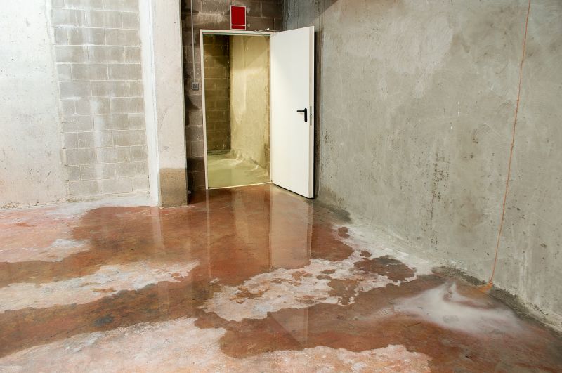 Flooded Basement Cleanup in Scottsdale, AZ