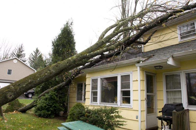 Storm Damage Cleanup in Wilmington, NC