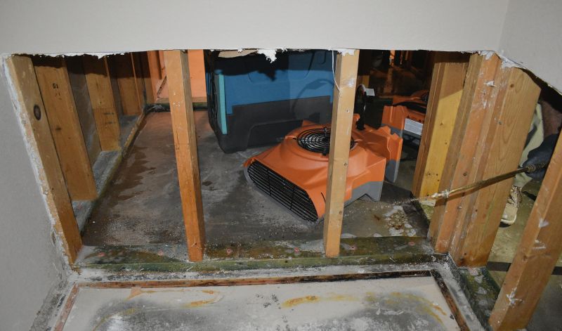 Storm Damage Cleanup in Chandler, AZ