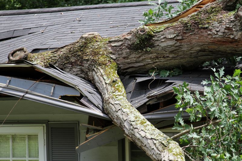 Storm Damage Mitigation in Wilmington, NC