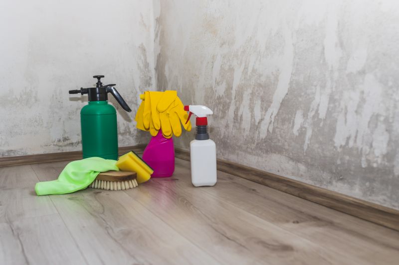 Water Damage Cleaning