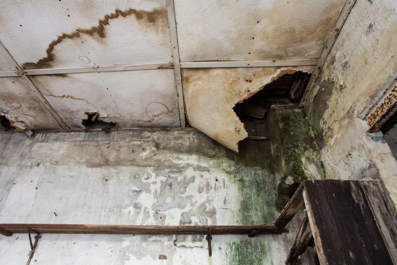 Water Damage Cleanup in Wilmington, NC