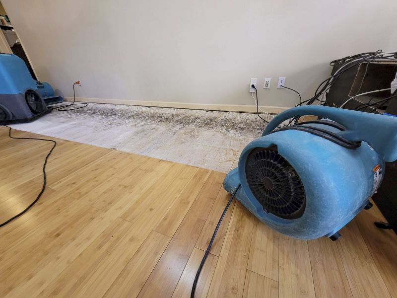 Water Damage Remediation in Mesa, AZ