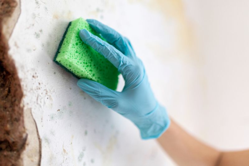 Water Damage Cleaning - Water Damage Cleaning Renton, Washington